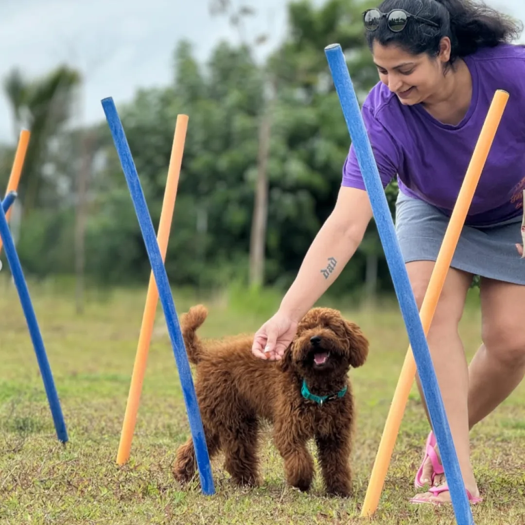 Fun Games for All Ages