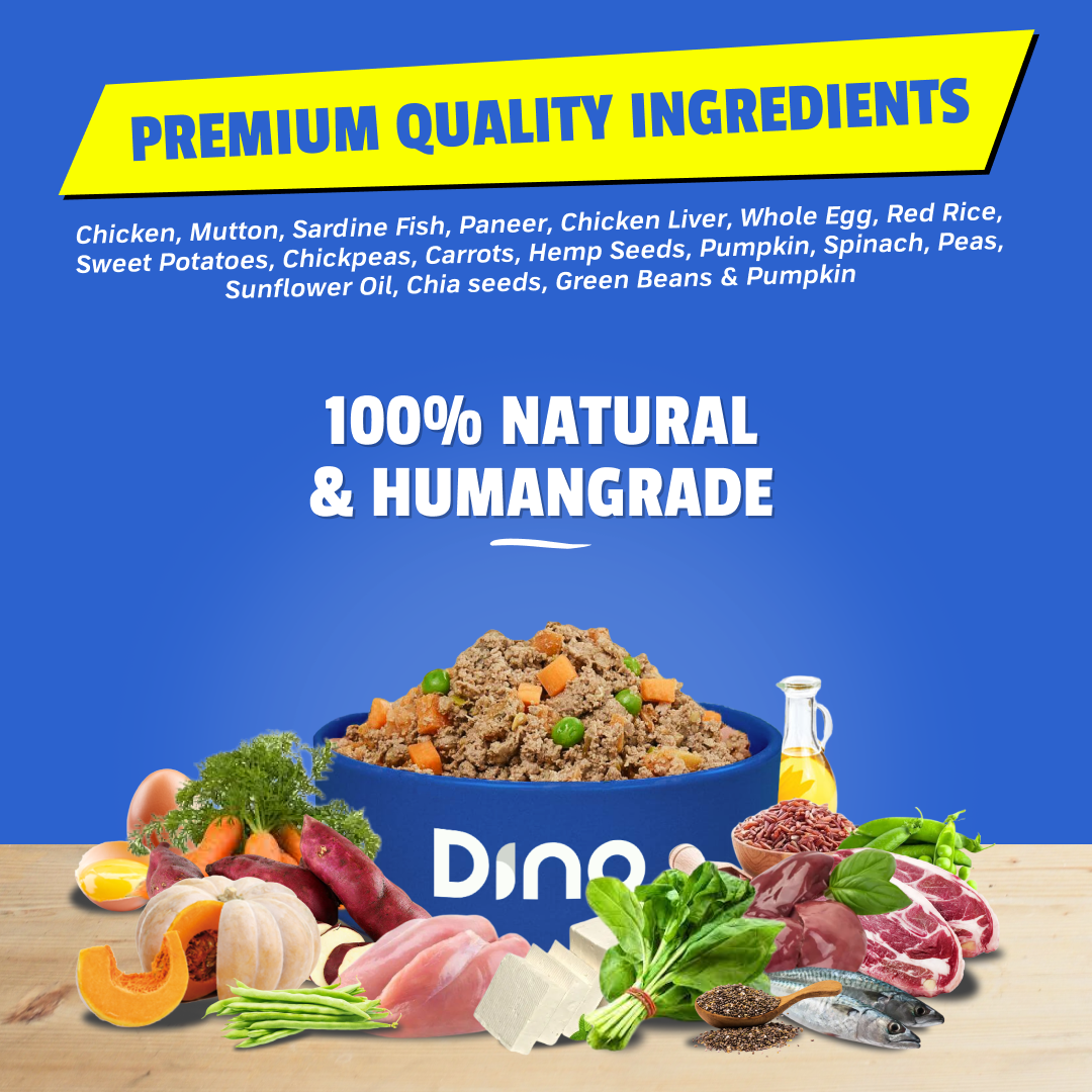 Fresh dog food ingredients including high-quality meats, vegetables, and superfoods like chia seeds and hemp seeds. Healthy, natural ingredients for a nutritious dog diet.